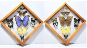 B9RH-5 Front and Back View