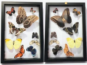 B9RN-2 Front and Back View