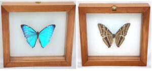 S1TK4 Front and Back View