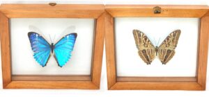 S1TK9 Front and Back View