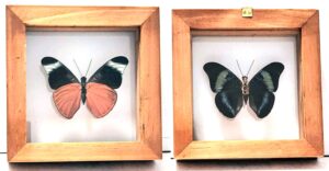 B1-1 Front and Back View