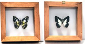 B1-3 Front and Back View