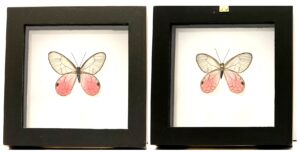 B1NGWE1 Front and Back View