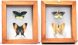 B2-1 Front and Back View