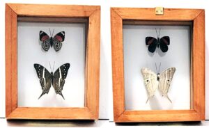 B2-10 Front and Back View