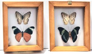 B2-13 Front and Back View