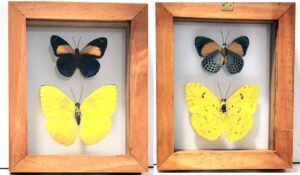 B2-14 Front and Back Veiw