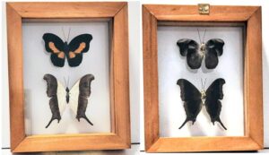 B2-17 Front and Back View