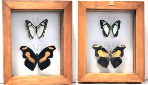 B2-18 Front and Back View