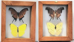 B2-19 Front and Back View