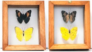 B2-2 Front and Back View