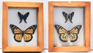 B2-21 Front and Back View