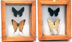 B2-23 Front and Back View