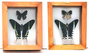 B2-24 Front and Back View