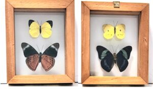 B2-28 Front and Back View