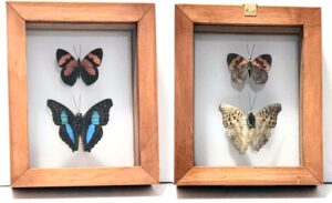 B2-29 Front and Back View