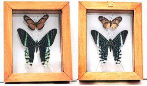 B2-4 Front and Back View