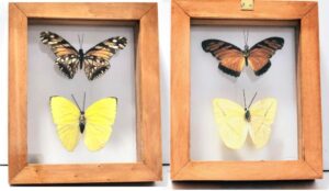 B2-5 Front and Back View