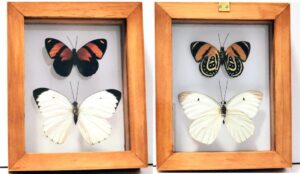 B2-6 Front and Back View