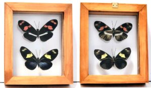 B2-7 Front and Back View