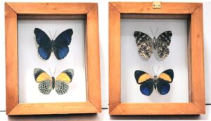 B2-8 Front and Back View