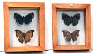 B2-9 Front and Back View