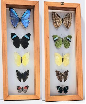 B5-3 Front and Back View