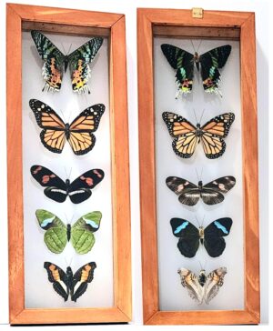 B5-4 Front and Back View