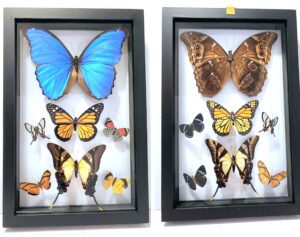 B7N-11 Front and Back View