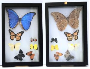 B7N-2 Front and Back View