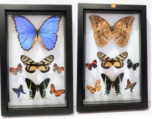 B7N-6 Front and Back View