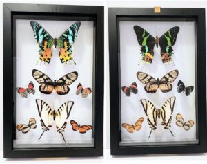 B7N-7 Front and Back View