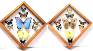 B9RH-4 Front and Back View