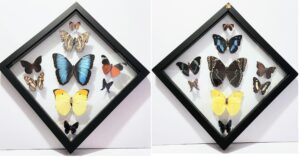 B9RHN-4 Front and Back View