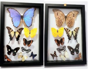 B9RN-4 Front and Back View